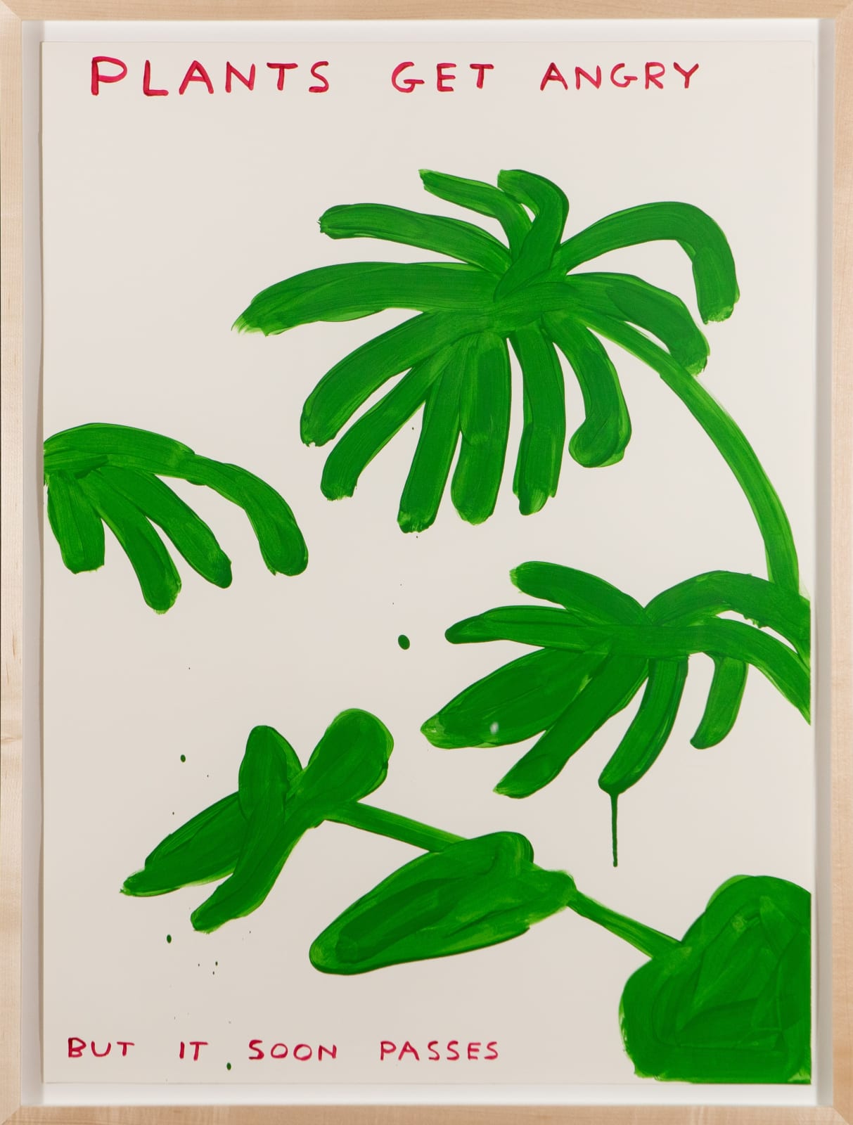 David Shrigley, Plants Get Angry