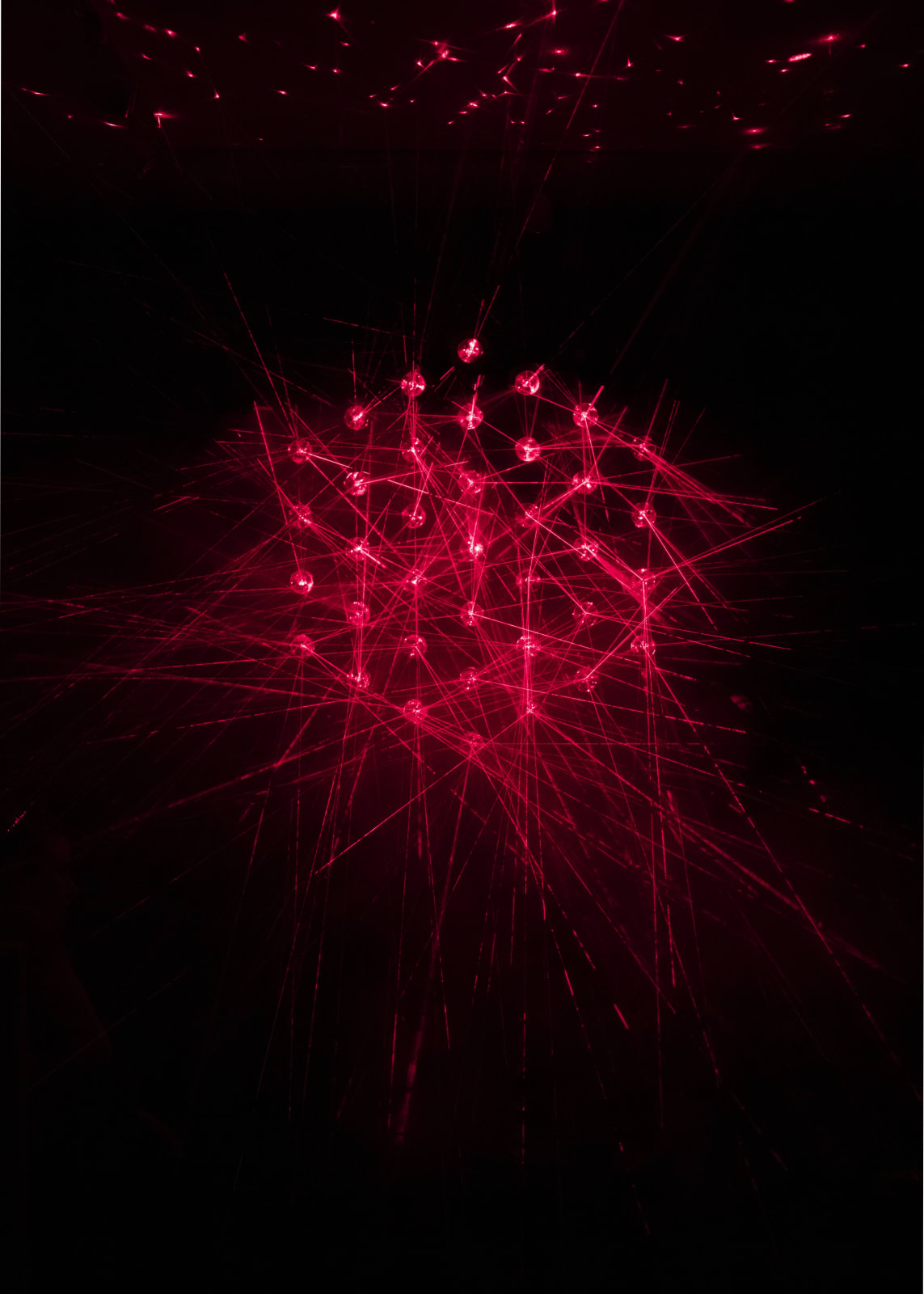 Chris Levine, Flower of Light