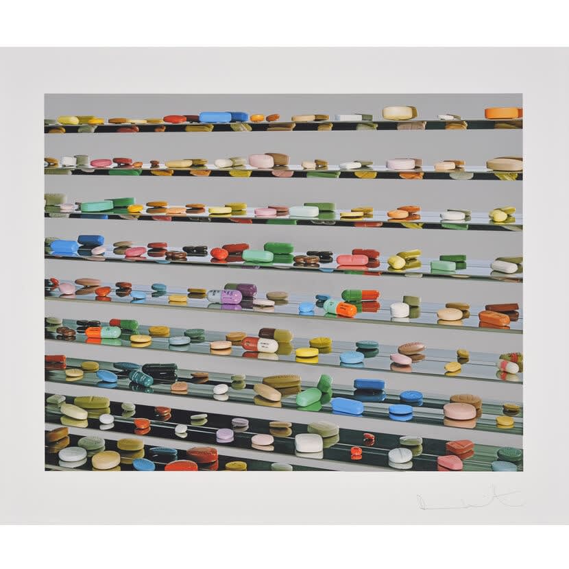 Damien Hirst, Utopia