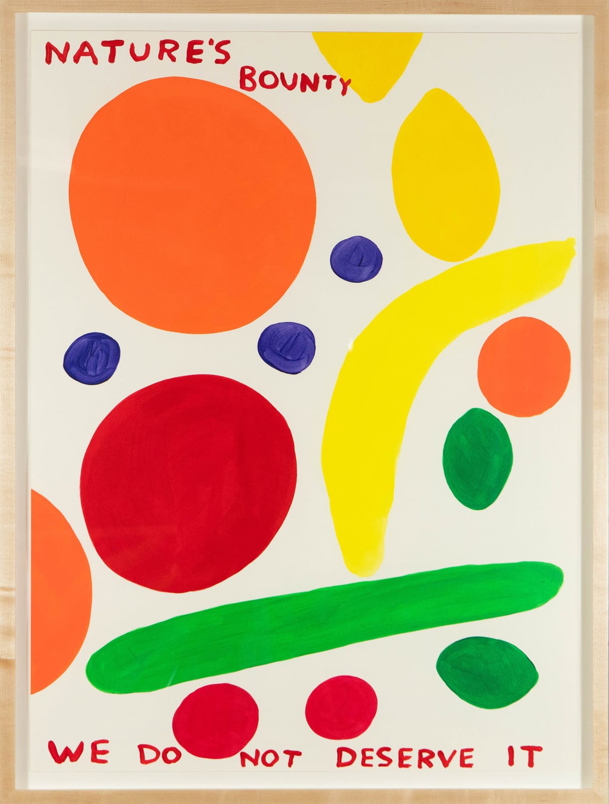 David Shrigley, Nature's Bounty