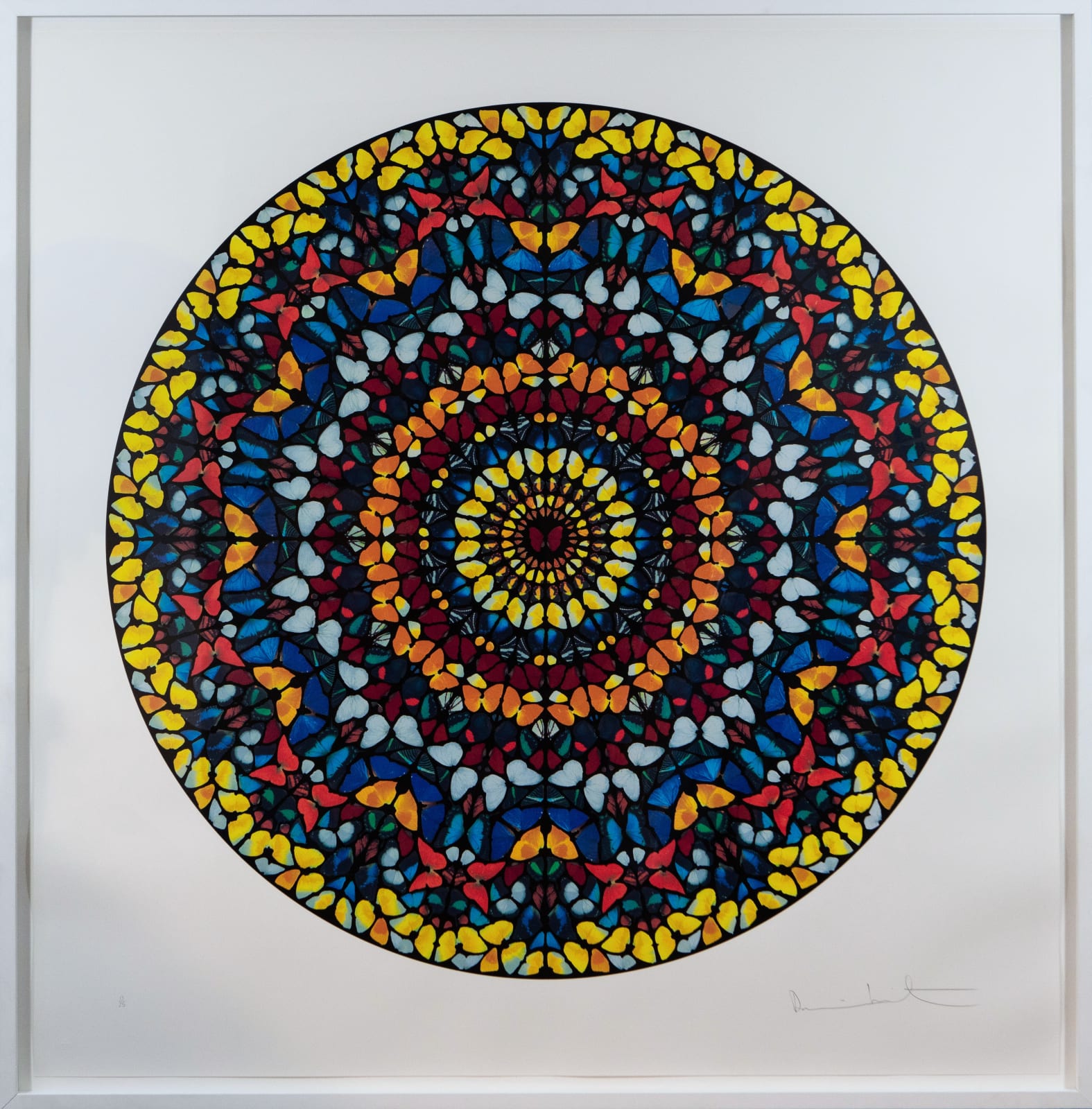 Damien Hirst, Entreaty