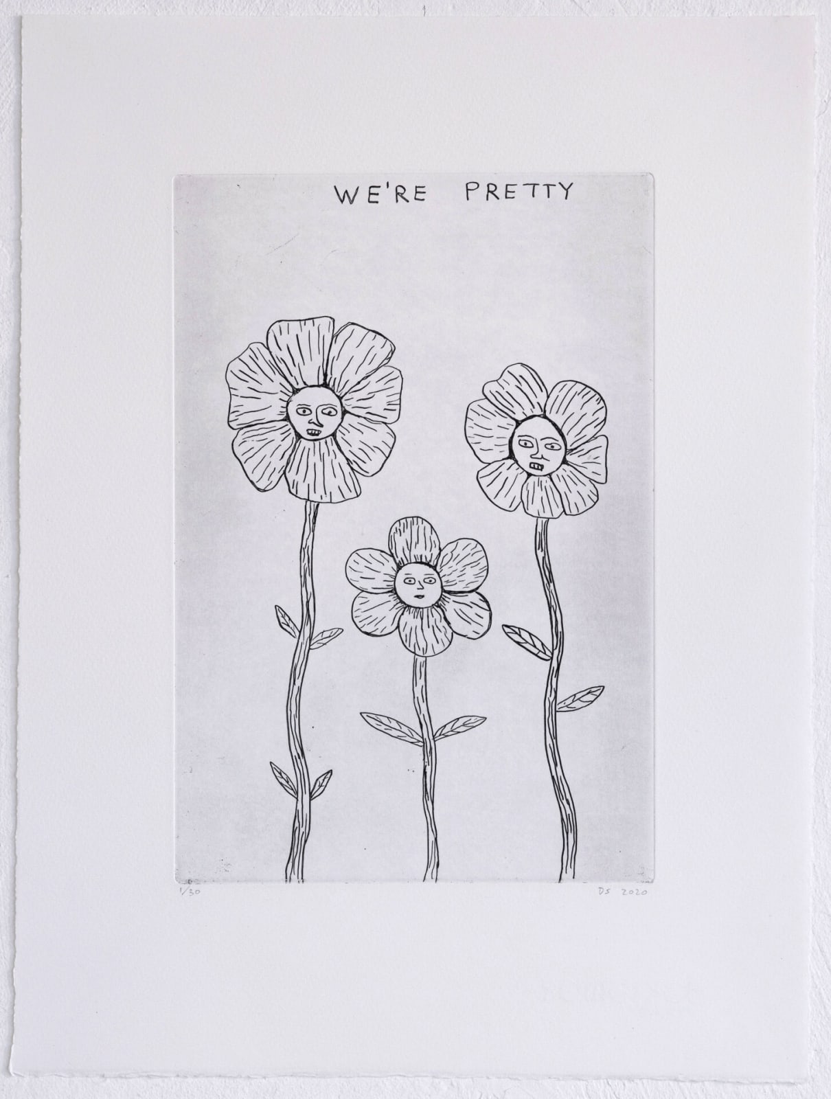 David Shrigley, We're Pretty