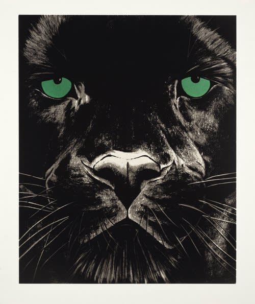 Rose Corcoran, Black Panther