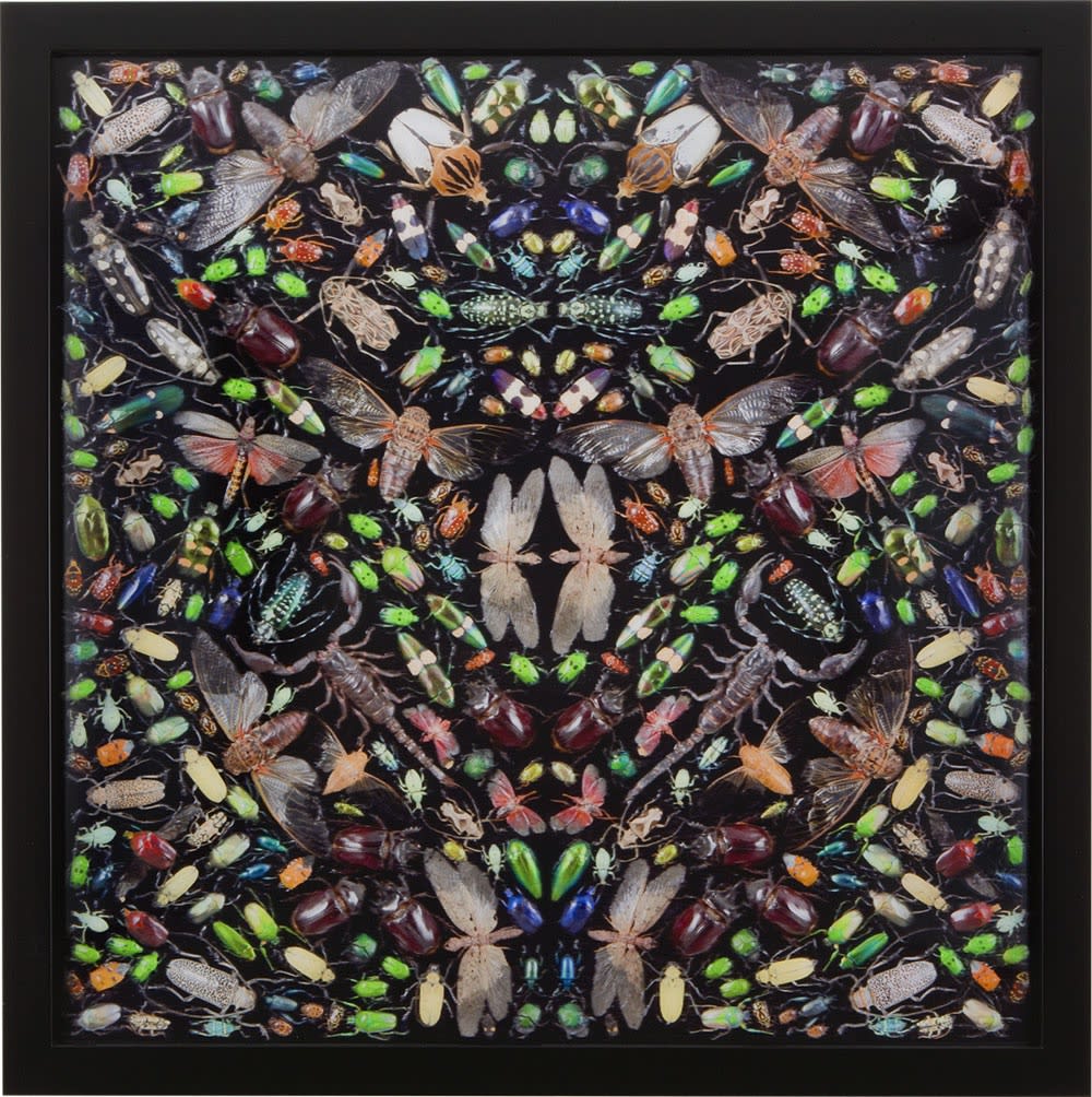 Damien Hirst, Inferno