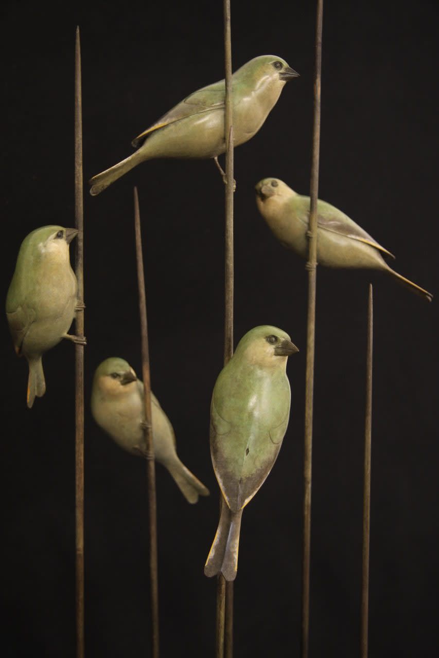 Adam Binder, Greenfinches
