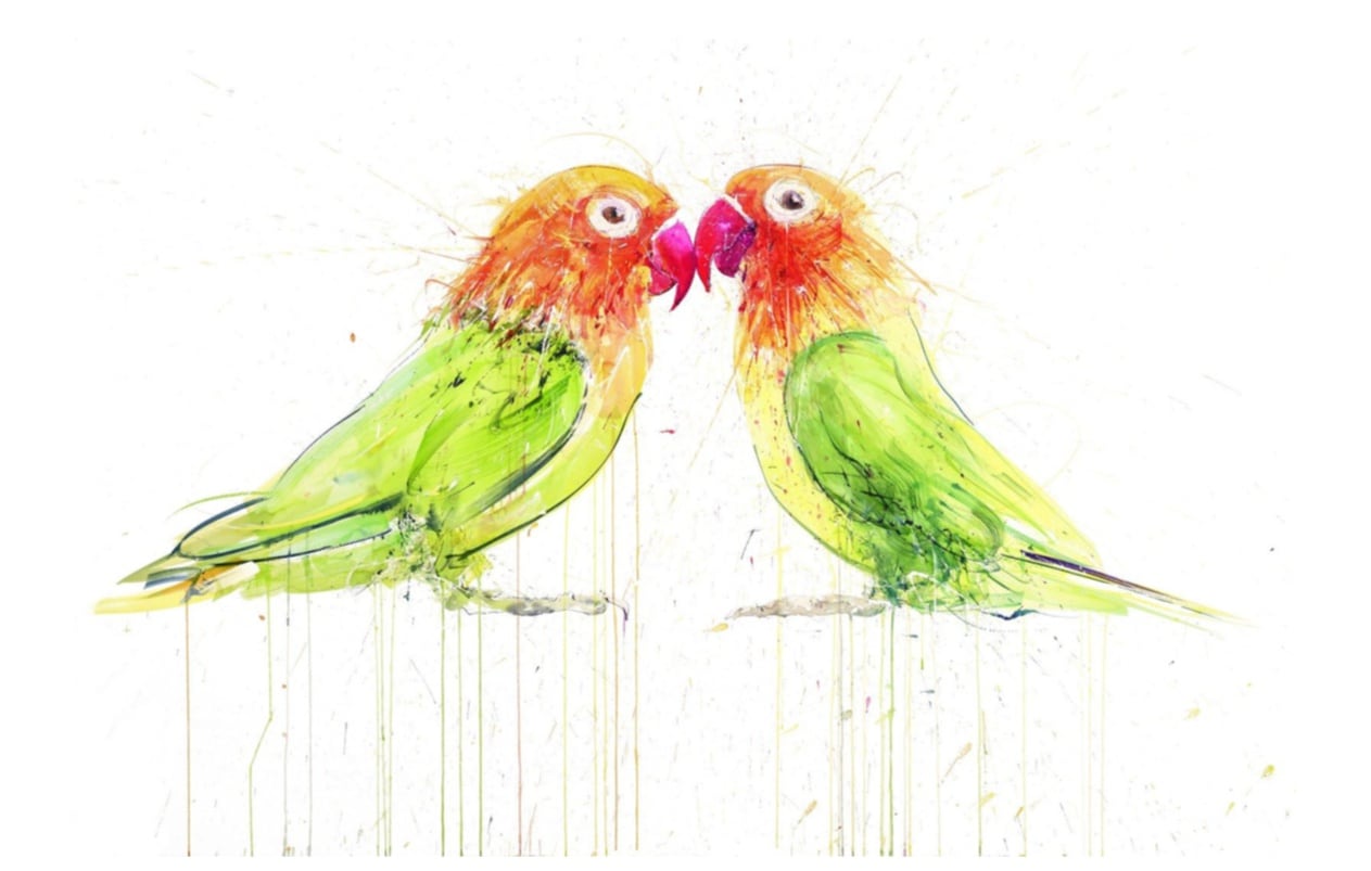 Dave White, Love Birds