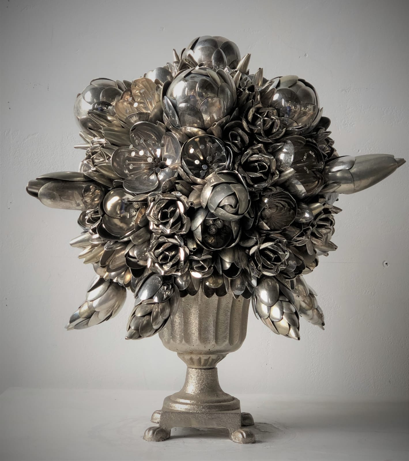 Ann Carrington, Alstroemenia