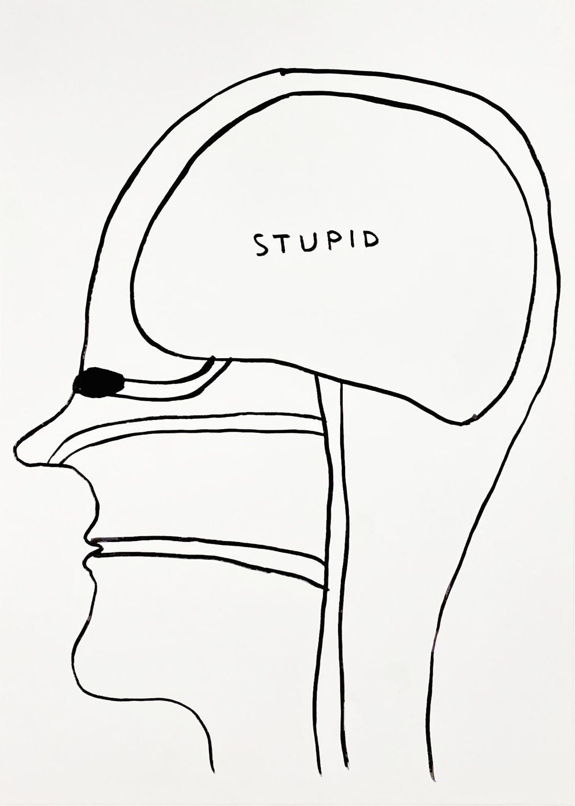 David Shrigley, Stupid