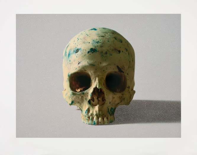 Damien Hirst, Studio Half Skull