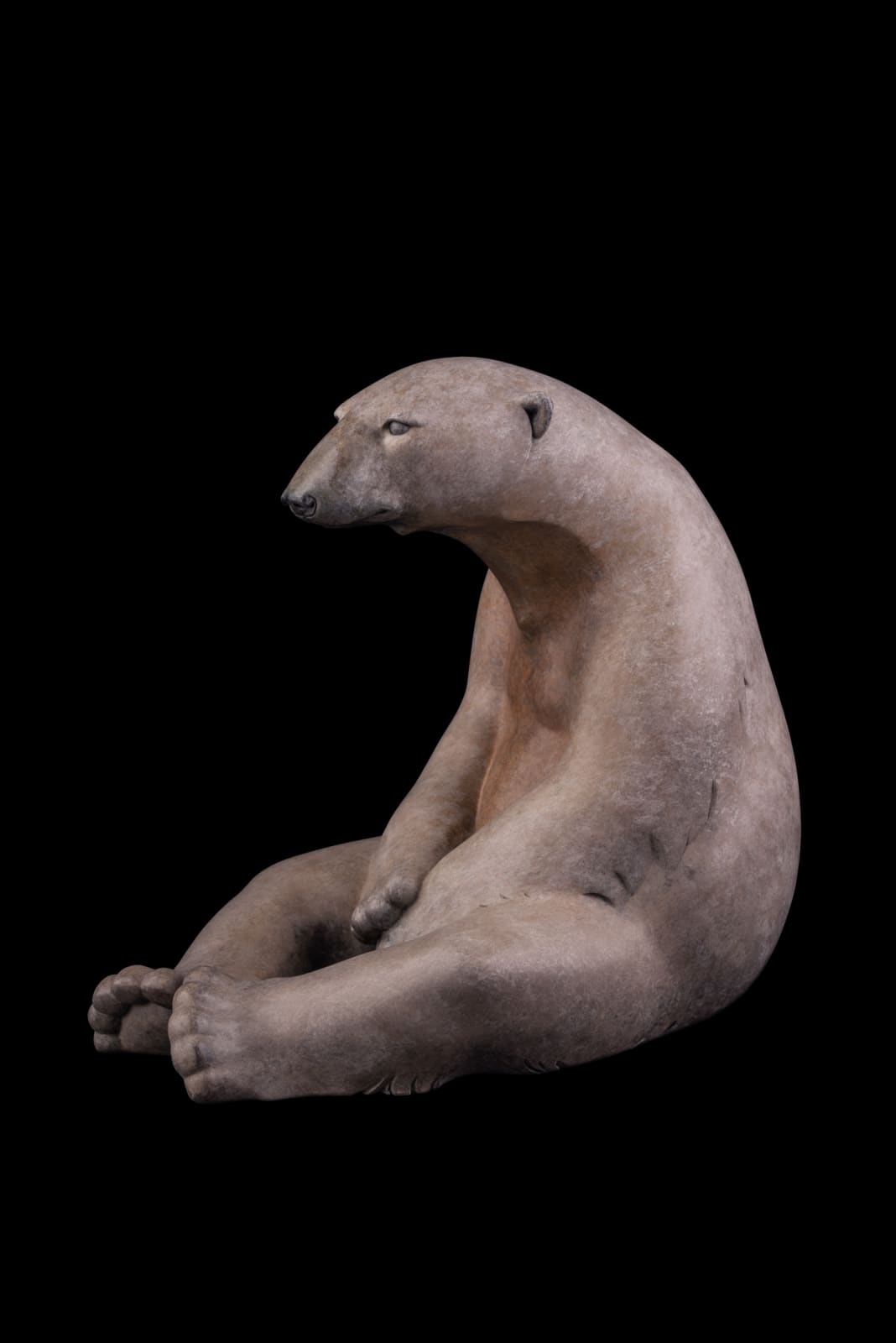 Adam Binder, Sitting Polar Bear