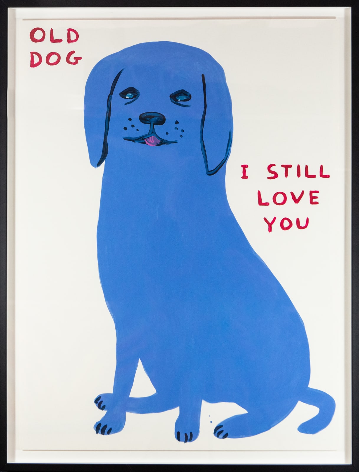 David Shrigley, Old Dog