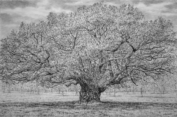 Roy Wright, You Can Never Hold Back The Spring IV