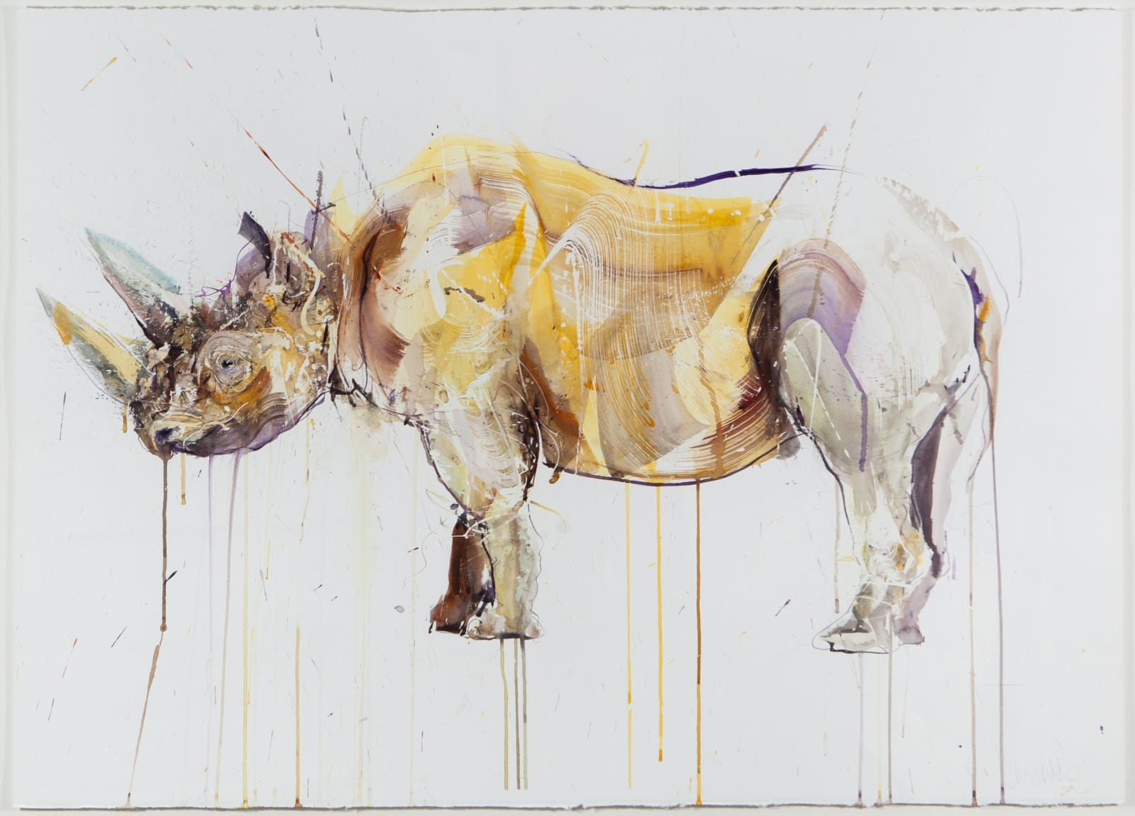 Dave White, Rhino