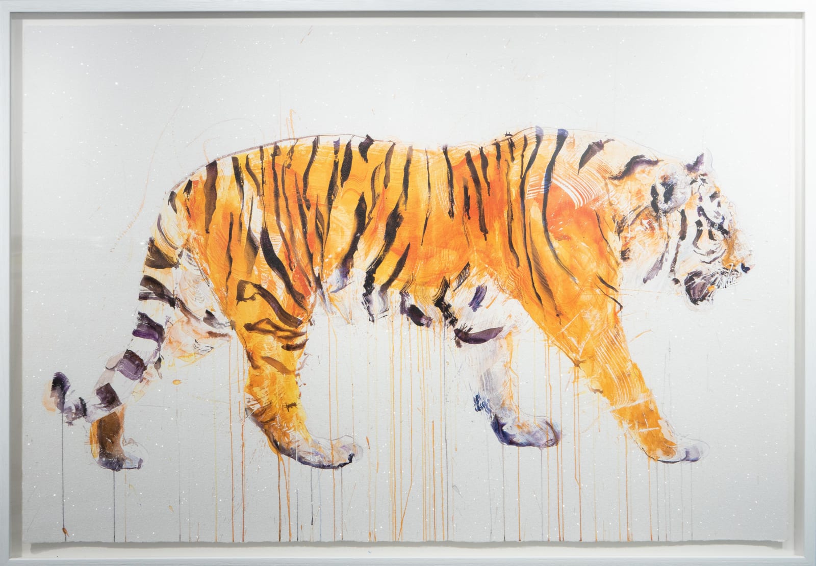 Dave White, Tiger