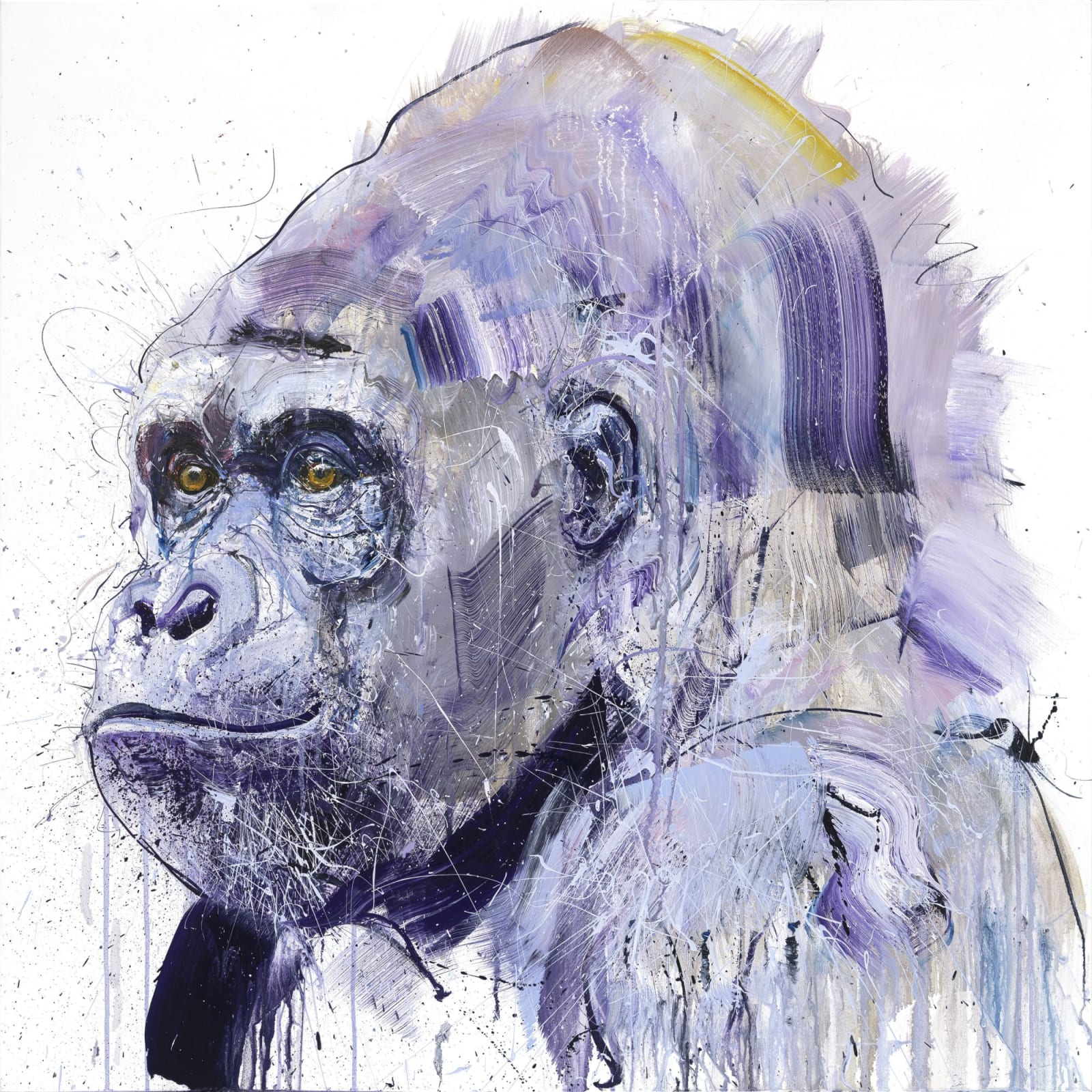 Dave White, Silverback VII