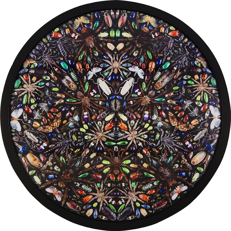 Damien Hirst, Phlegyas