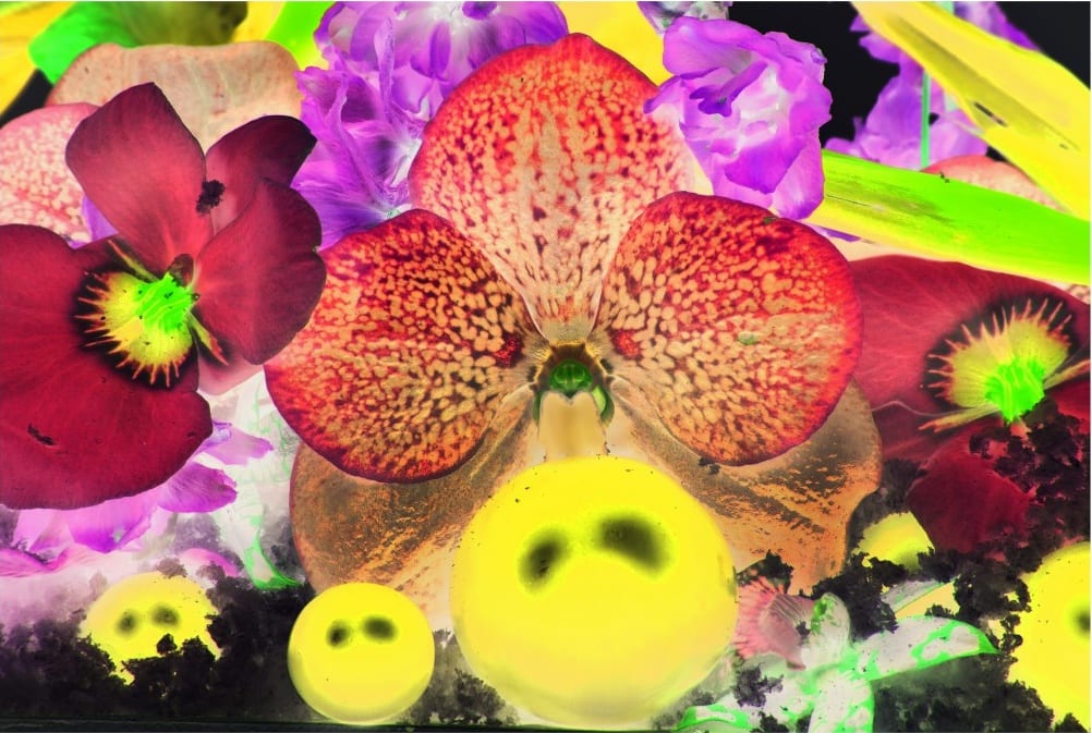 Marc Quinn, Sepas Mous