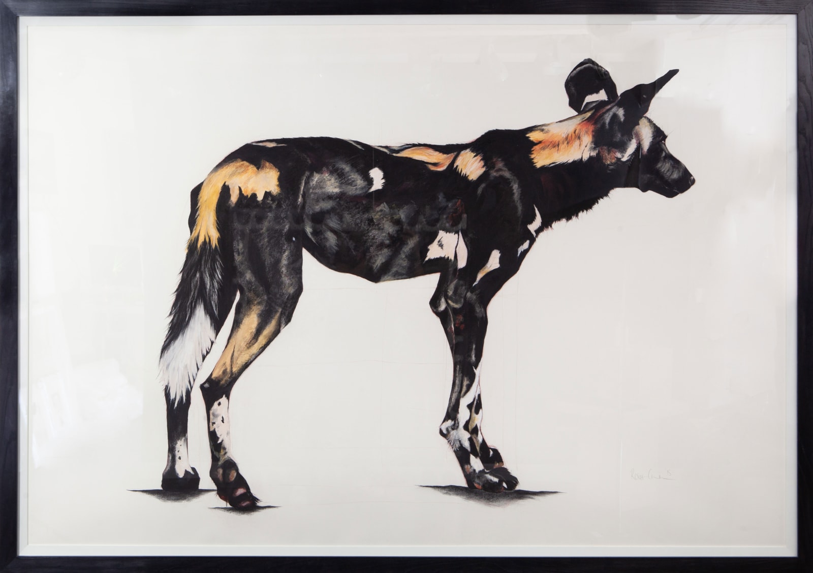 Rose Corcoran, Large African Wild Dog IV