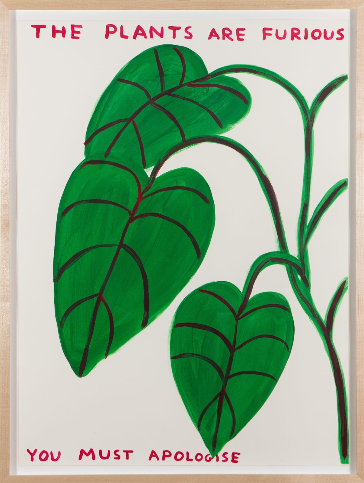 David Shrigley, The Plants Are Furious
