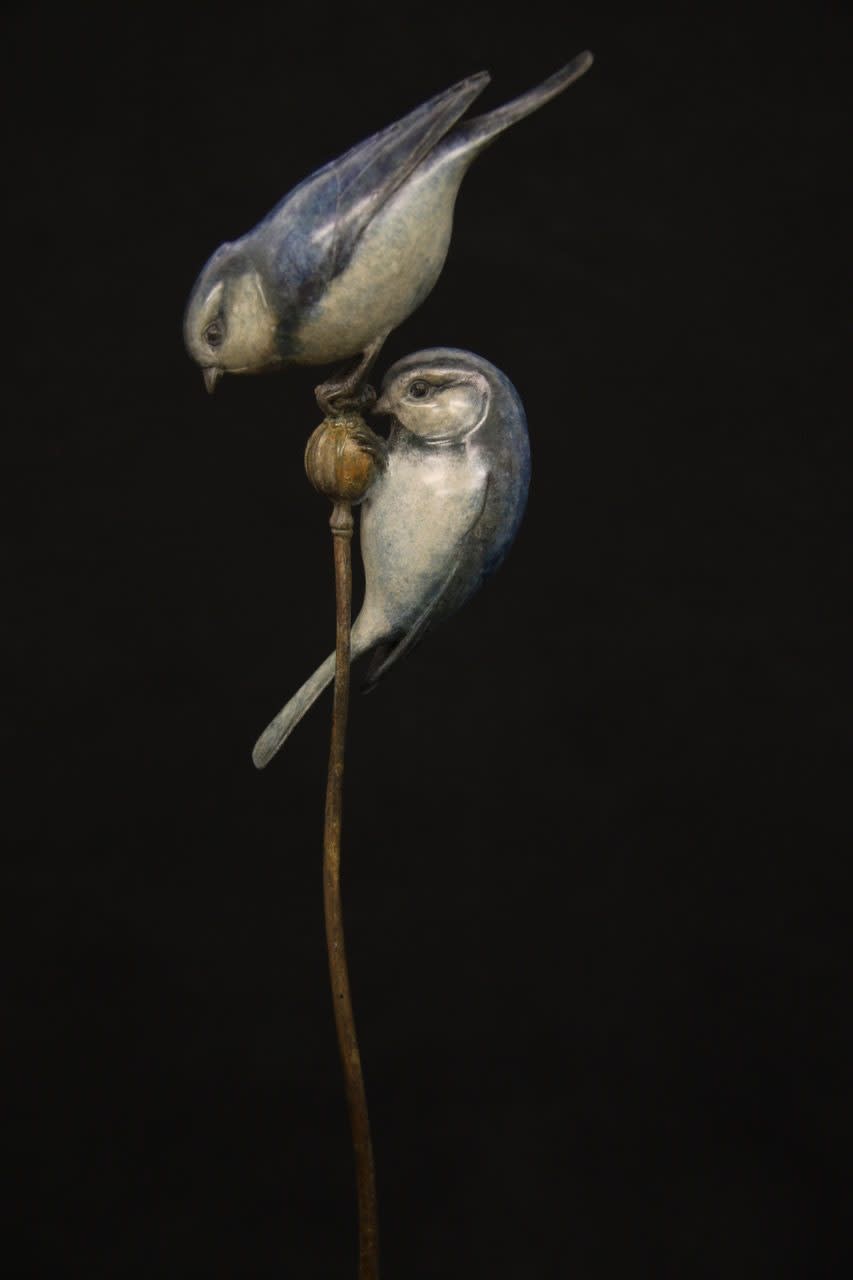Adam Binder, Two Blue Tits