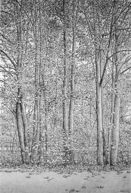 Roy Wright, When Leaves Have Come To Turning