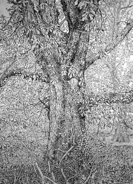 Roy Wright, Autumn And The Leaves Are Turning