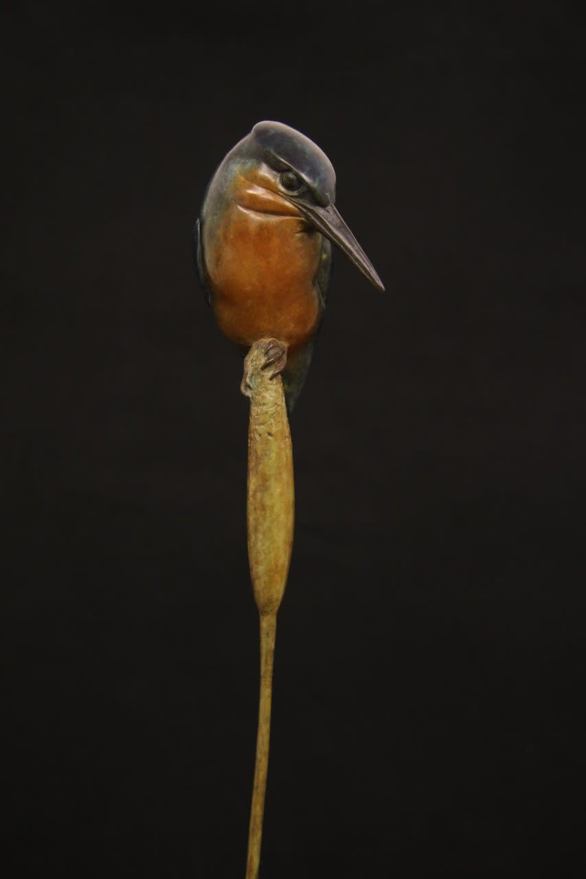 Adam Binder, Kingfisher