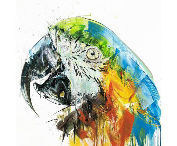 Dave White, Parrot II