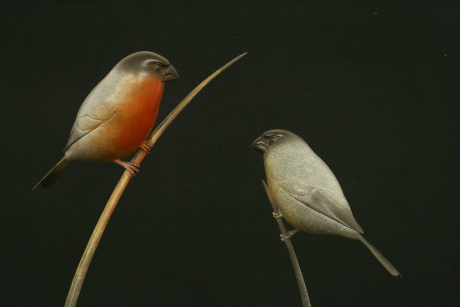 Adam Binder, Bullfinches