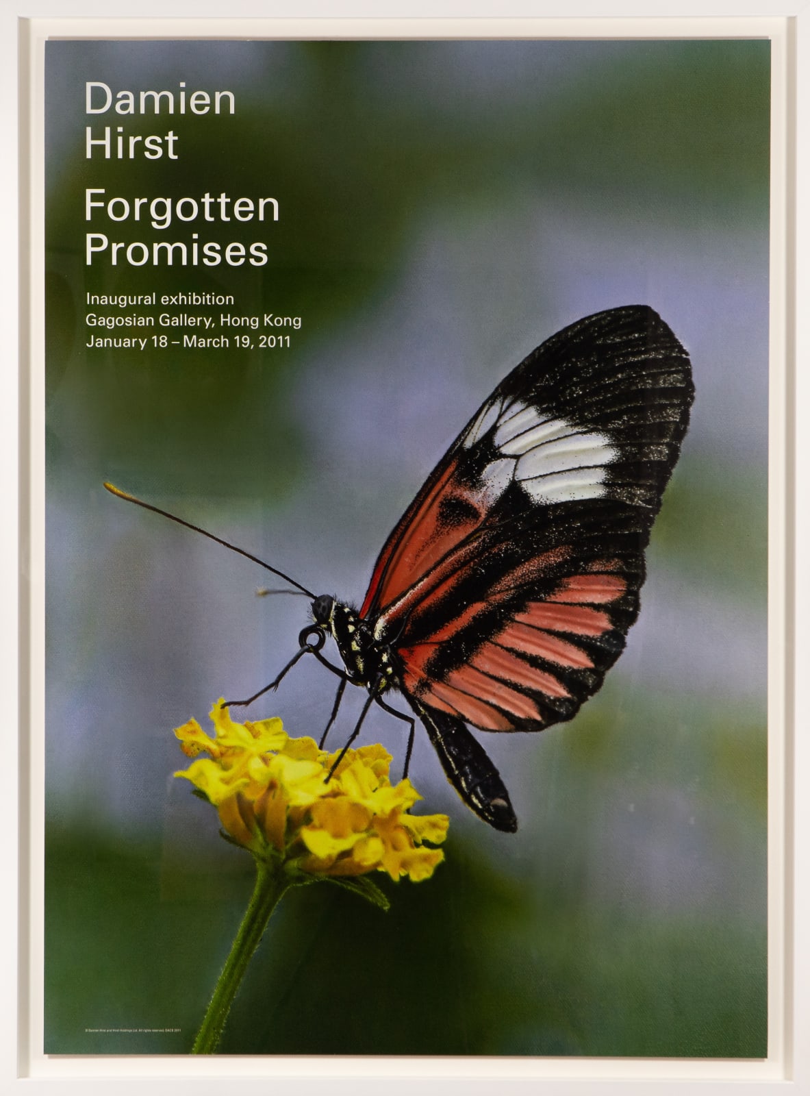Damien Hirst, Forgotten Promises