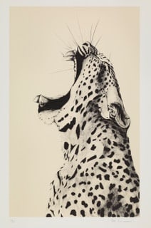 Rose Corcoran, Leopard Sound On Cream