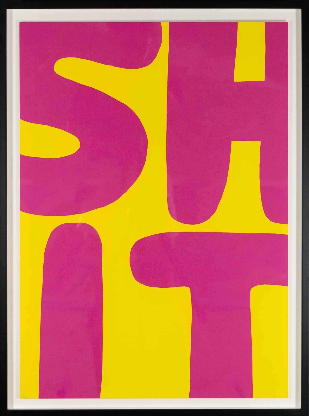 David Shrigley, SHIT