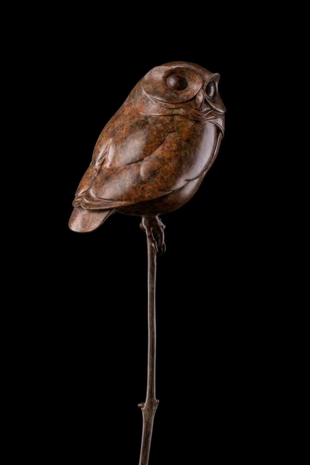 Adam Binder, Little Owl III