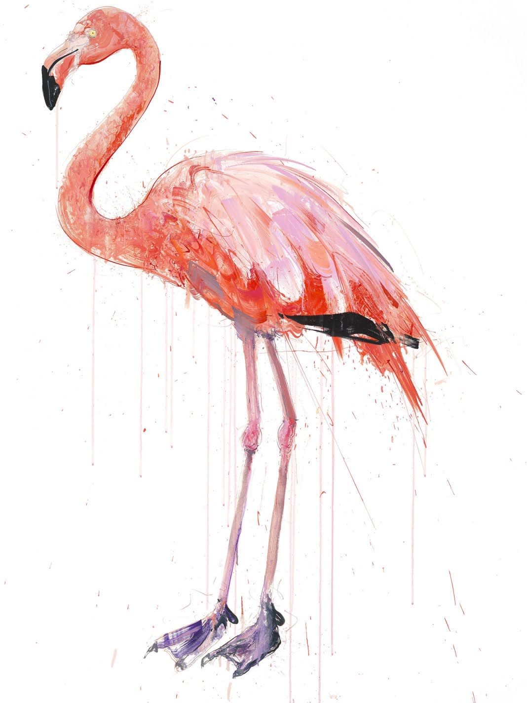 Dave White, Flamingo I