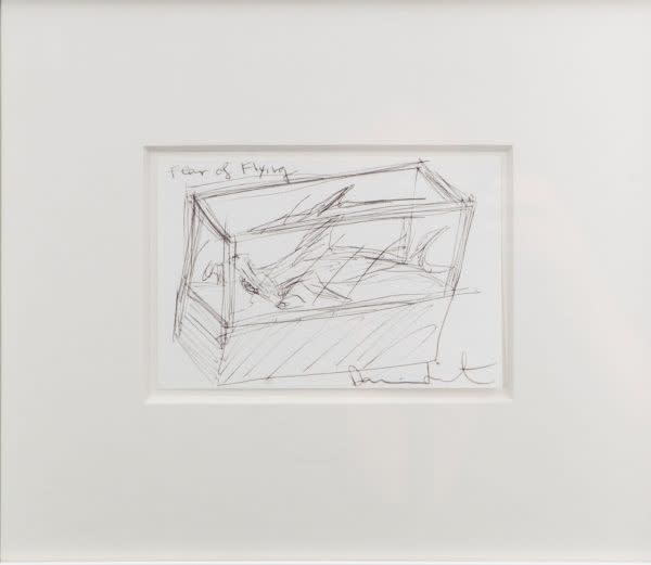 Damien Hirst, Fear of flying