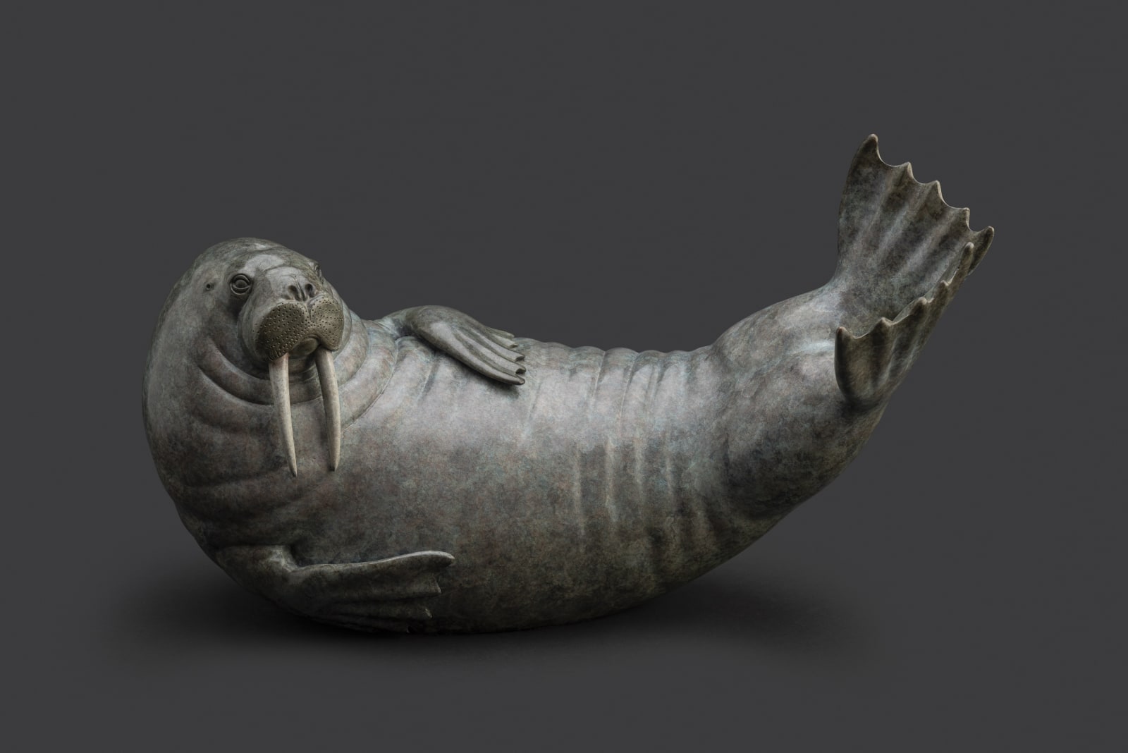 Adam Binder, Walrus