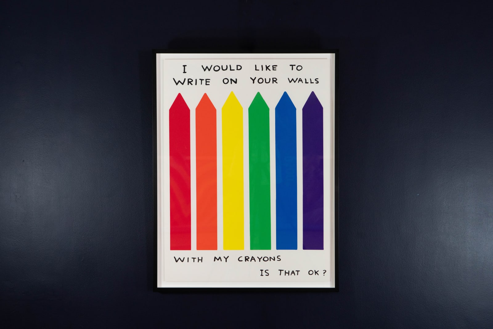 David Shrigley, I Would Like To Write On Your Walls