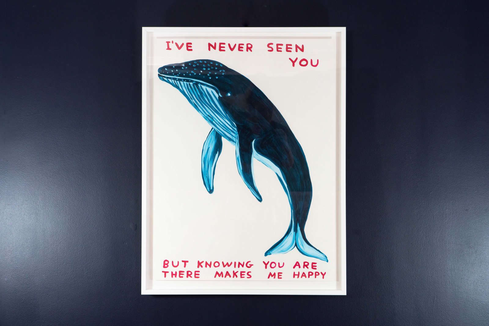 David Shrigley, I've Never Seen You