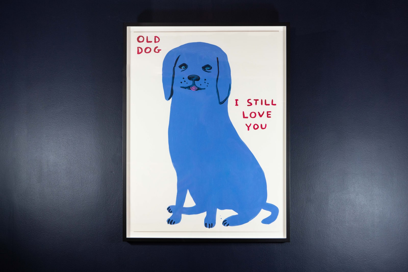 David Shrigley, Old Dog