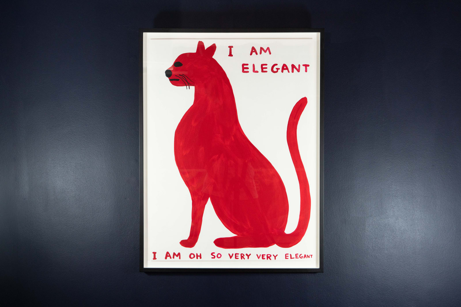 David Shrigley, I Am Elegant