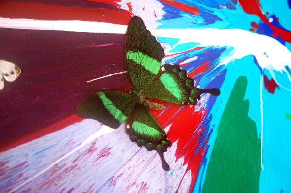 Damien Hirst, Beautiful Spin Painting