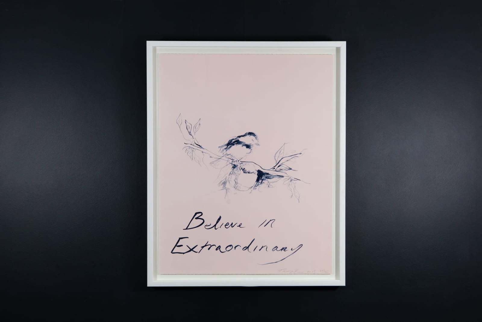 Tracey Emin, Believe In Extraordinary