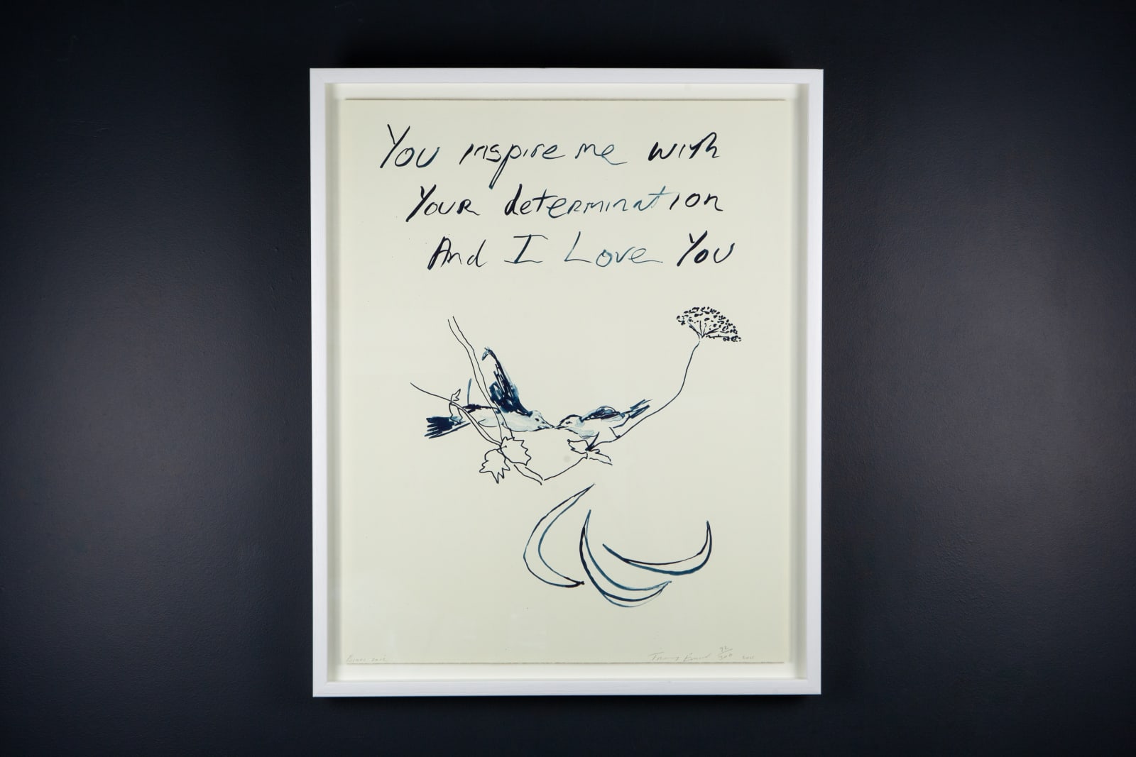 Tracey Emin, Birds