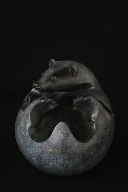 Adam Binder, Badger