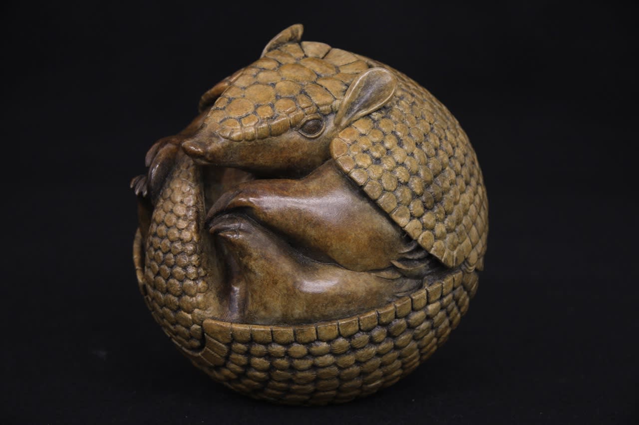Adam Binder, Armadillo