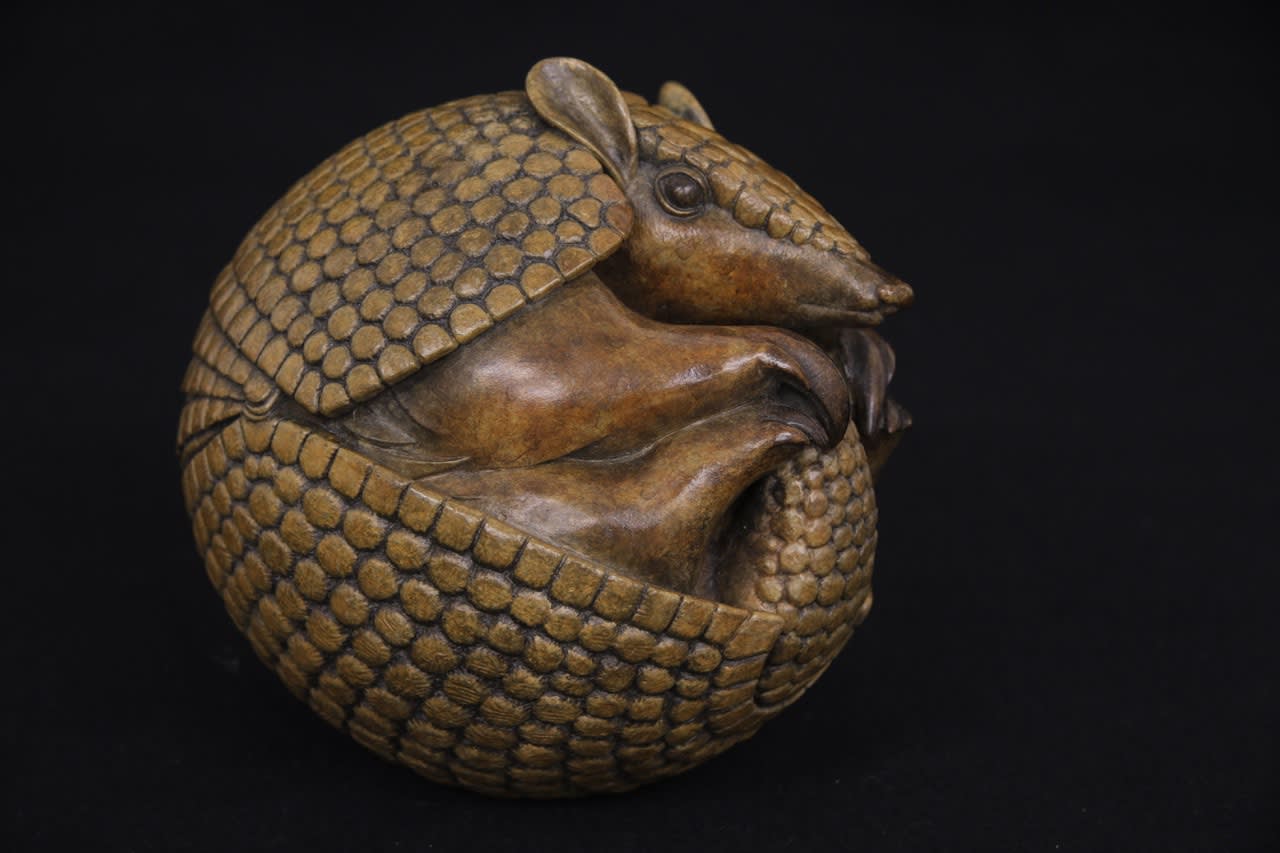 Adam Binder, Armadillo