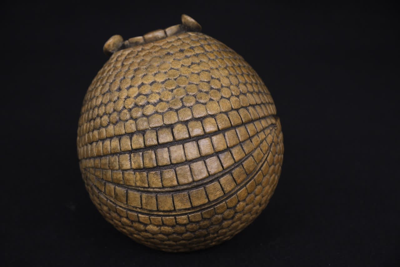 Adam Binder, Armadillo