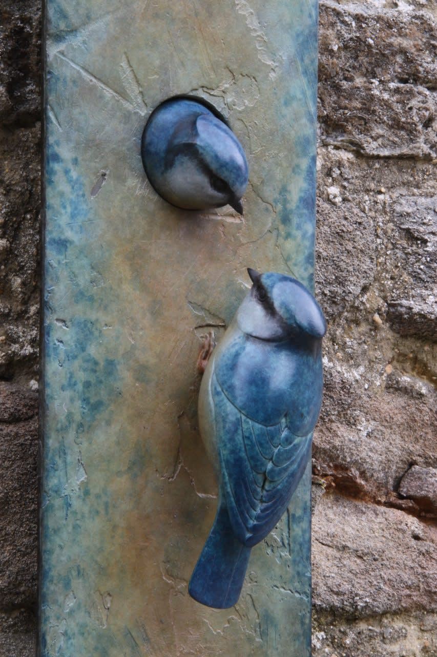 Adam Binder, Blue Tit Plaque