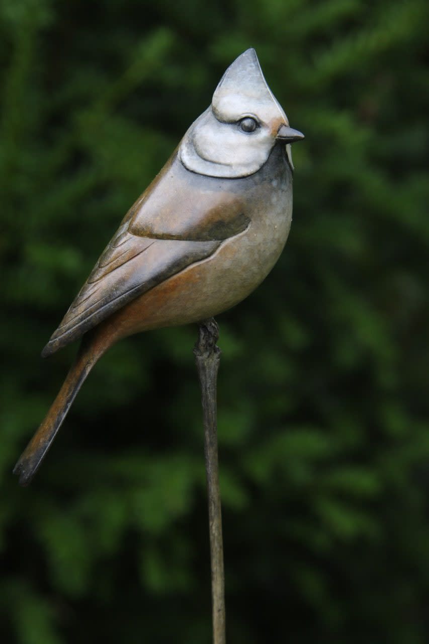 Adam Binder, Crested Tit