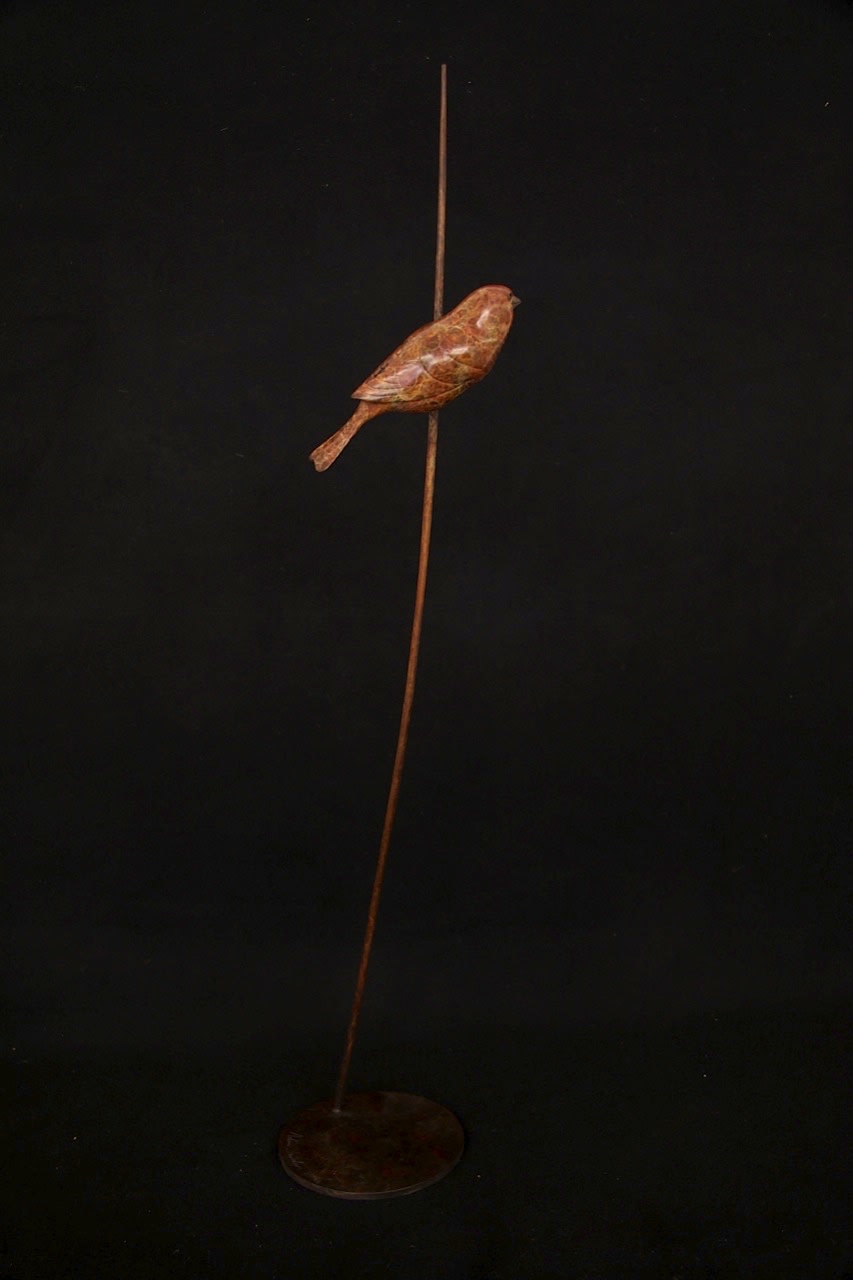 Adam Binder, Sparrow